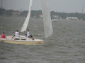 IMG 4511