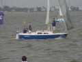 IMG 4513