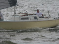 IMG 4519