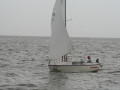 IMG 4520