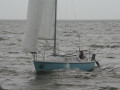 IMG 4521