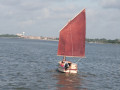 IMG 4529