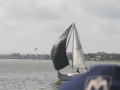IMG 4535