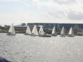 IMG 4546