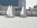IMG 4547