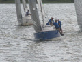 IMG 4554