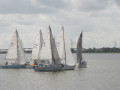 IMG 4565