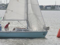 IMG 4568