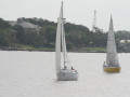 IMG 4574