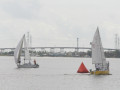 IMG 4576