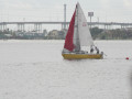 IMG 4579