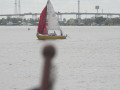 IMG 4580