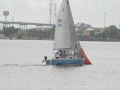 IMG 4581
