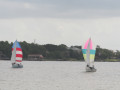 IMG 4590