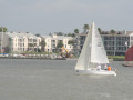 IMG 4593