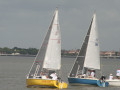 IMG 4597