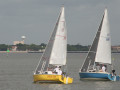 IMG 4598