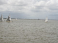 IMG 4662
