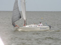 IMG 4674