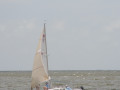 IMG 4686