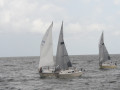 IMG 4693