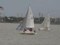 IMG 4737