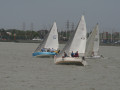 IMG 4738