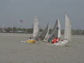 IMG 4741