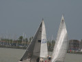 IMG 4753