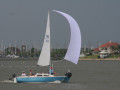 IMG 4777