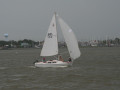 IMG 4780