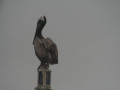 IMG 4793