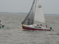 IMG 4909