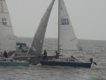 IMG 4934
