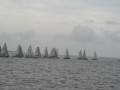 IMG 4954