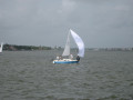 IMG 5535
