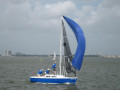IMG 5536