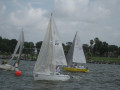 IMG 5547