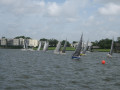 IMG 5550