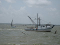 IMG 5565