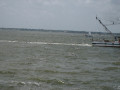 IMG 5566