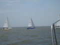 IMG 5569