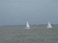 IMG 5571