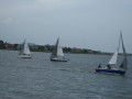 IMG 5580