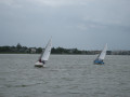 IMG 5587