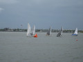 IMG 5590