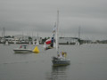 IMG 5595